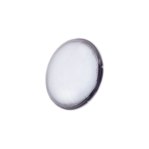 hayward led lamp par56